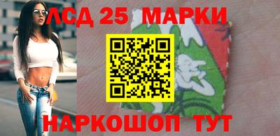 гашик Донской