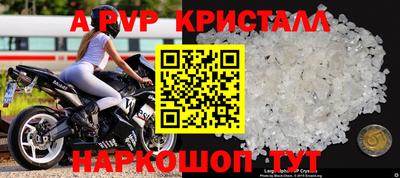 гашик Донской