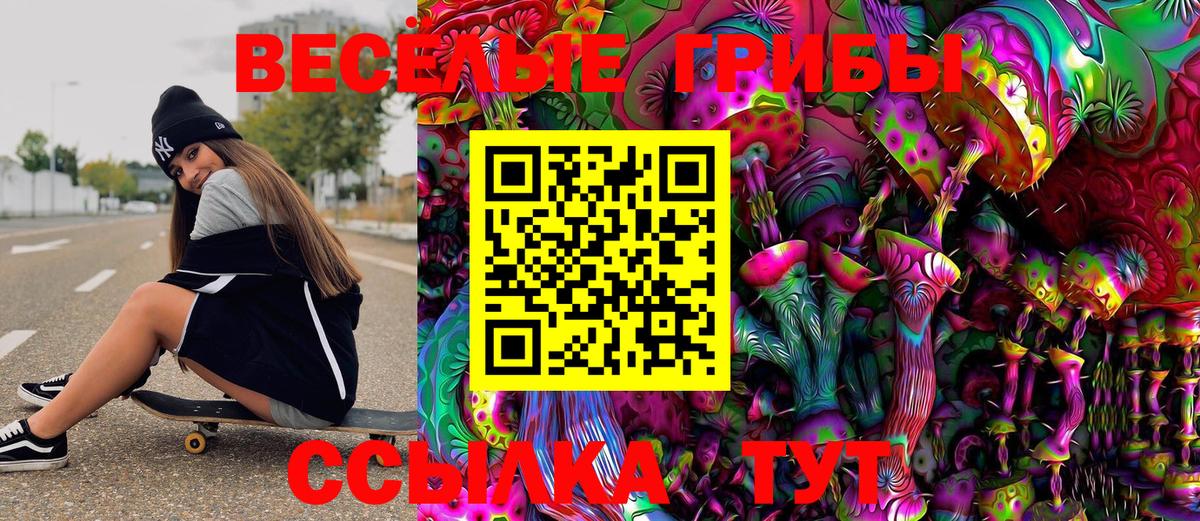 Псилоцибиновые грибы Cubensis Лыткарино